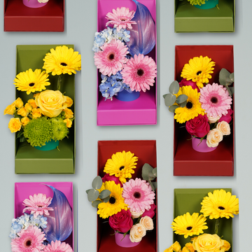 Boxes