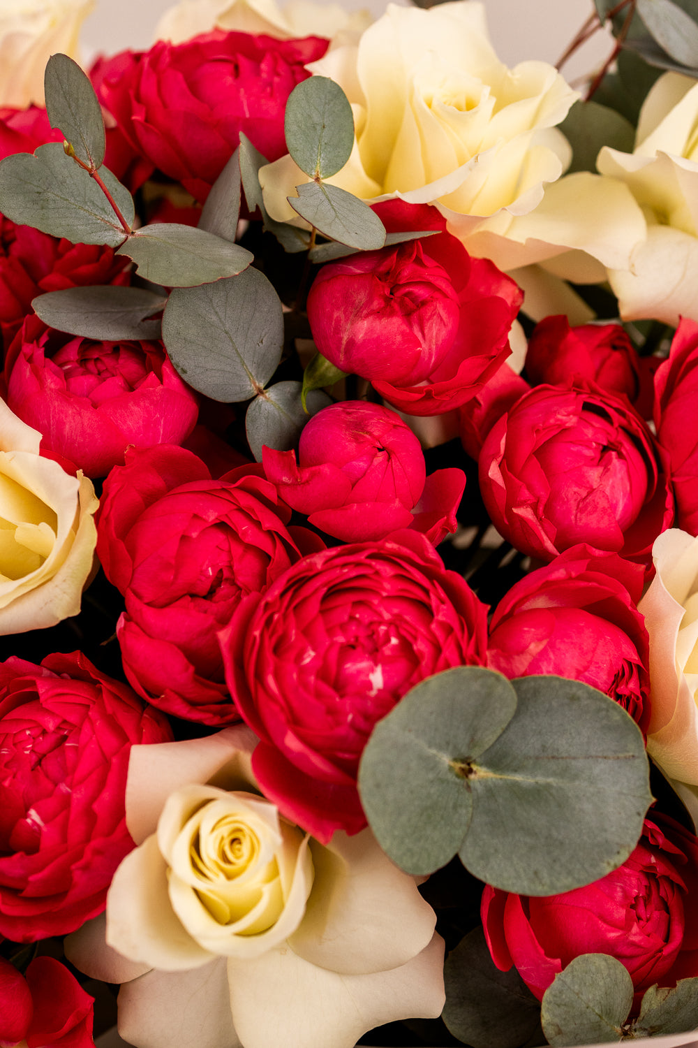 Love in Bloom