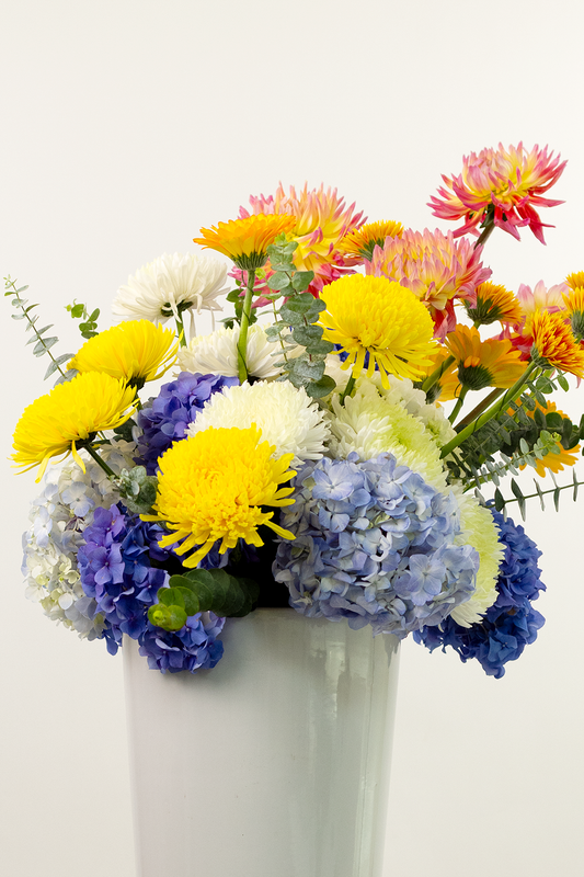 Summer in Bloom