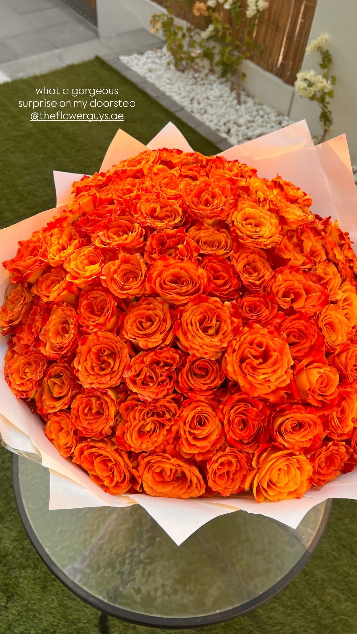 Tangerine Dream