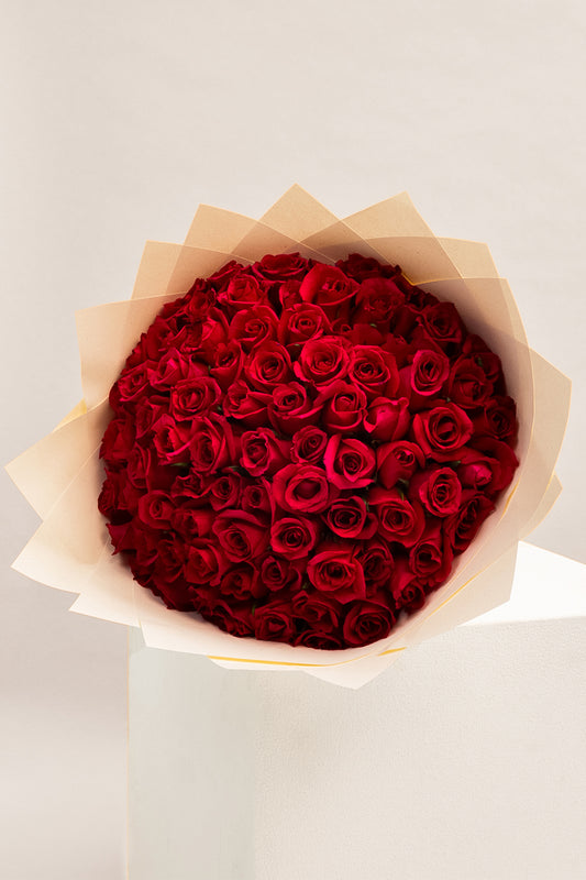 Cupid's Favourite
