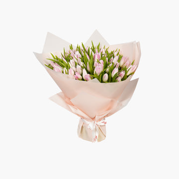 Tulip Delight