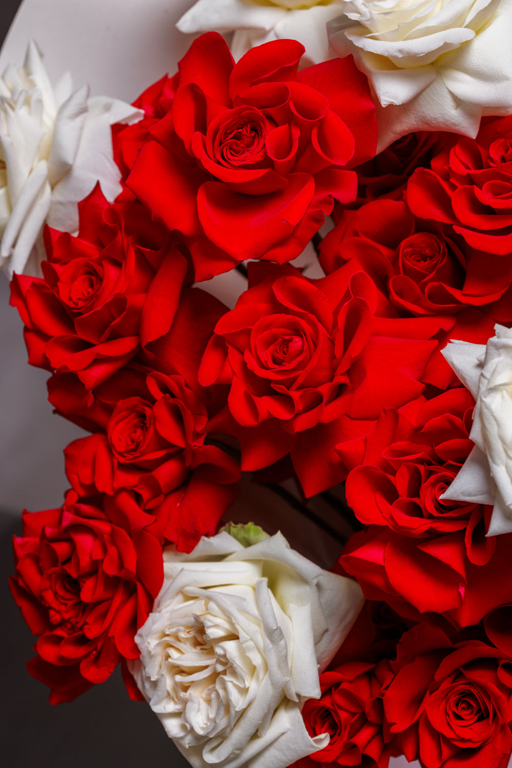 Blossoming Love
