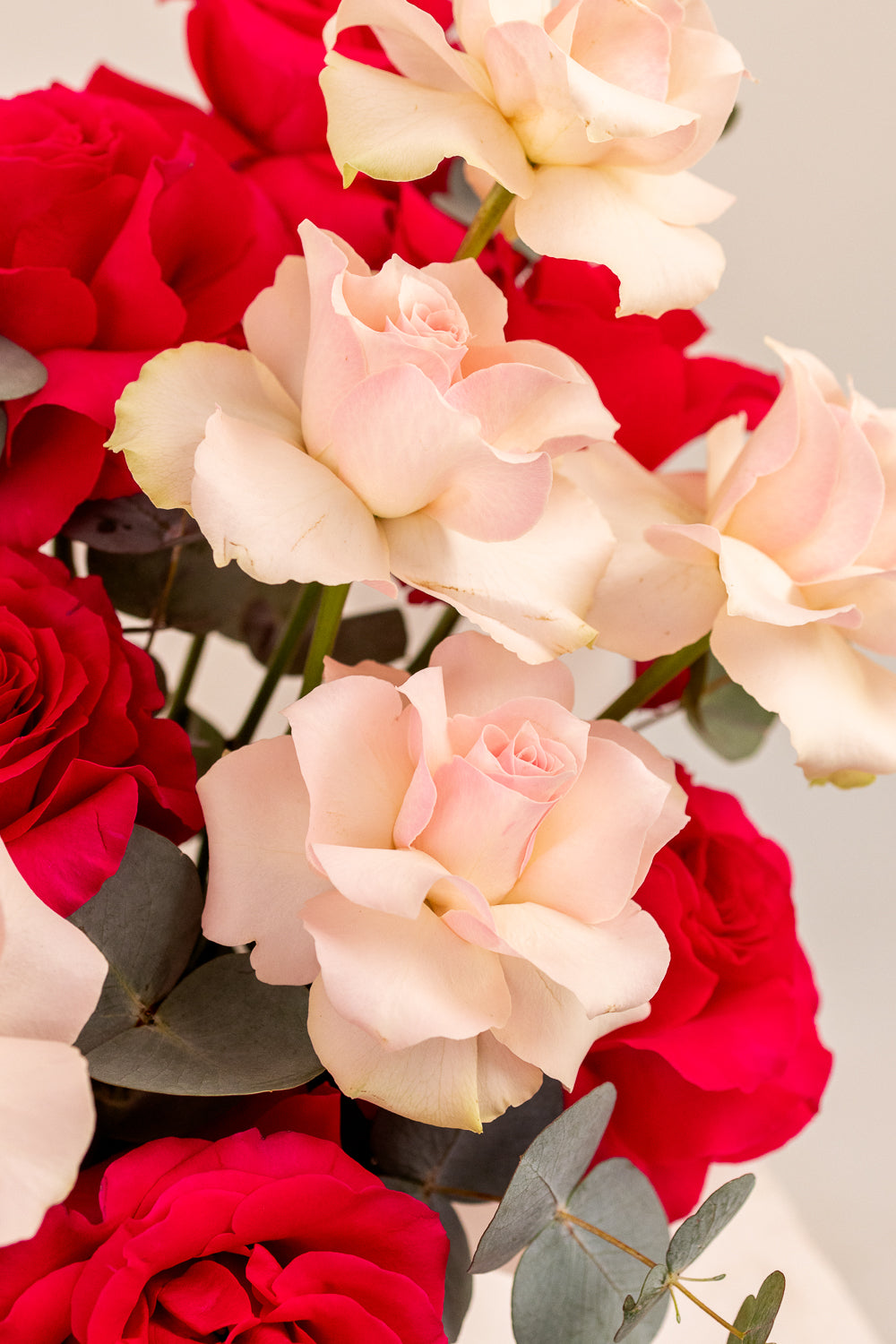 Crimson & Blush