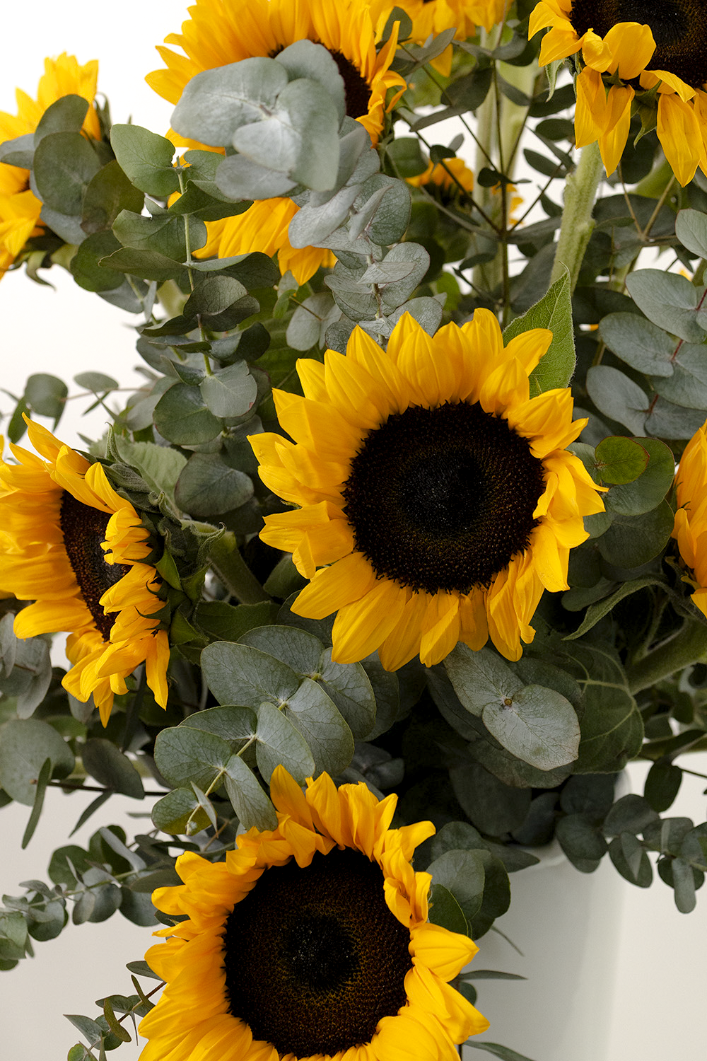 Here Comes the Sun