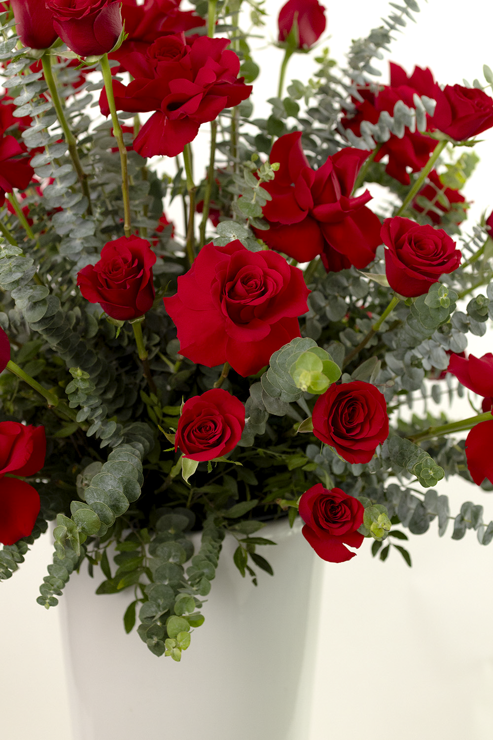 Kiss From a Rose