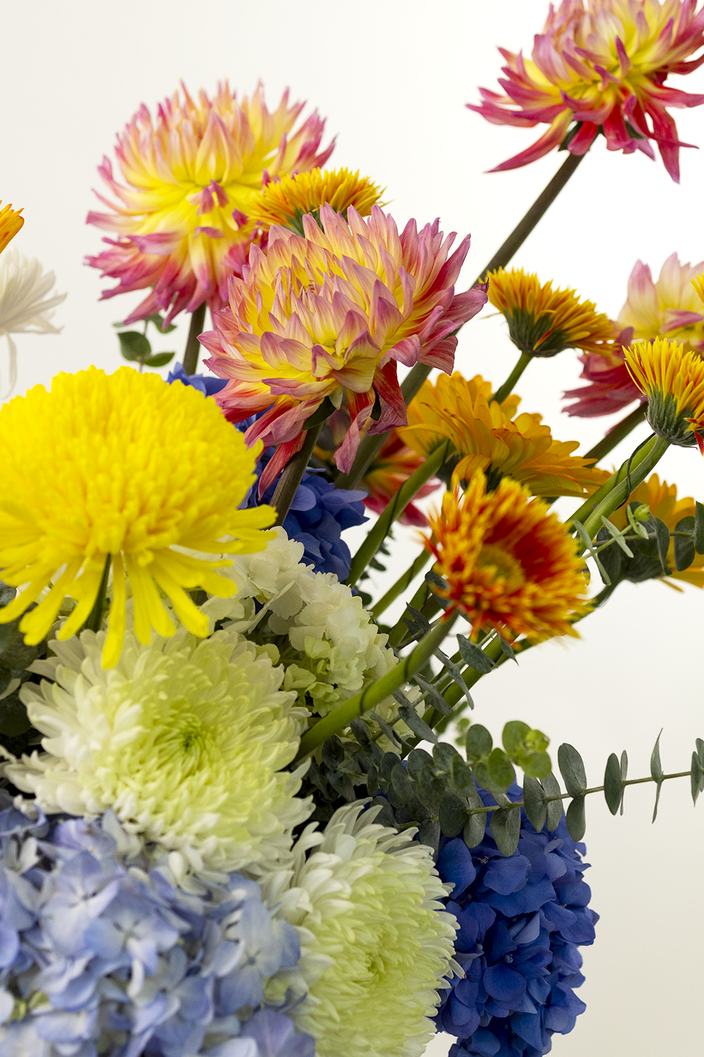 Summer in Bloom
