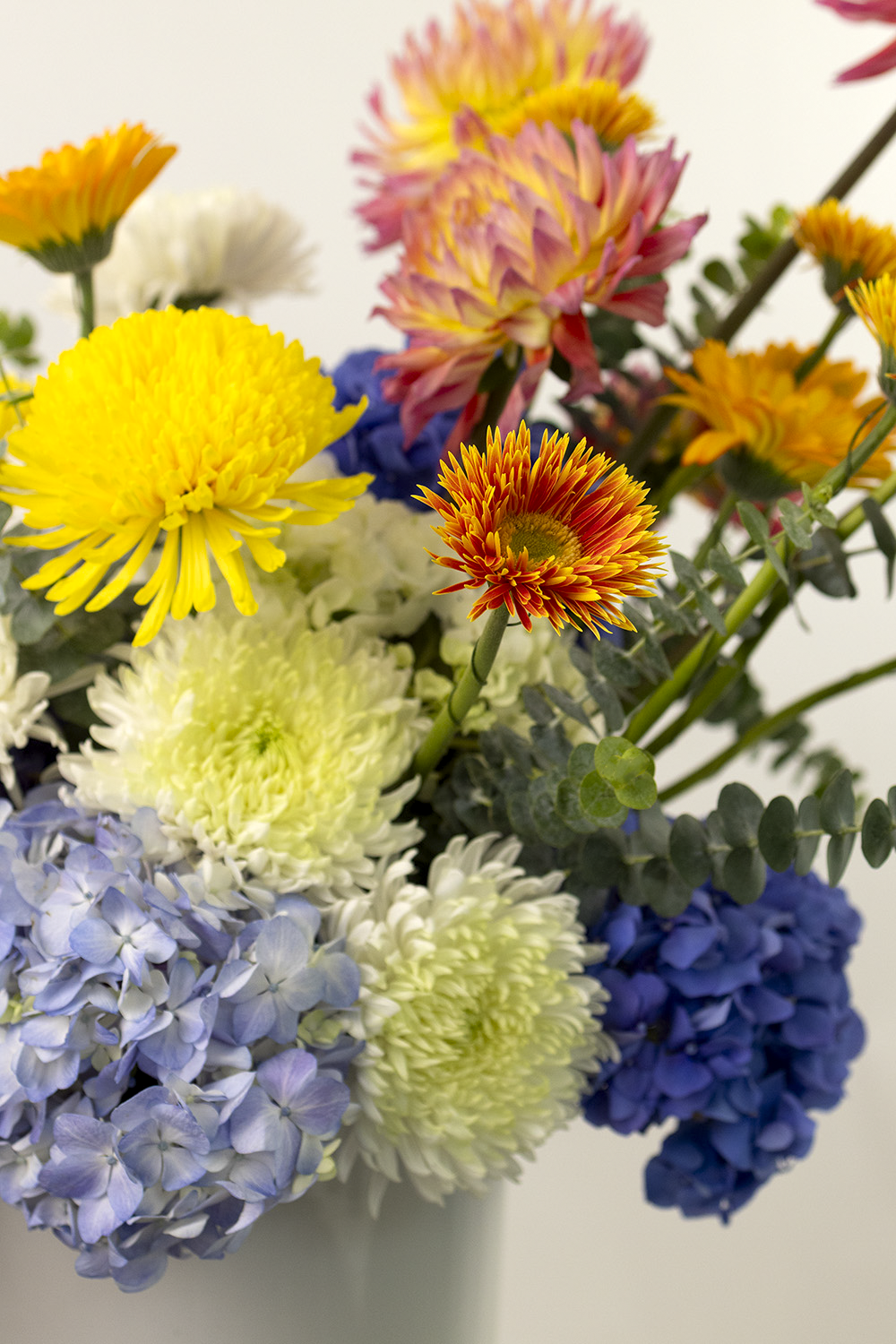 Summer in Bloom