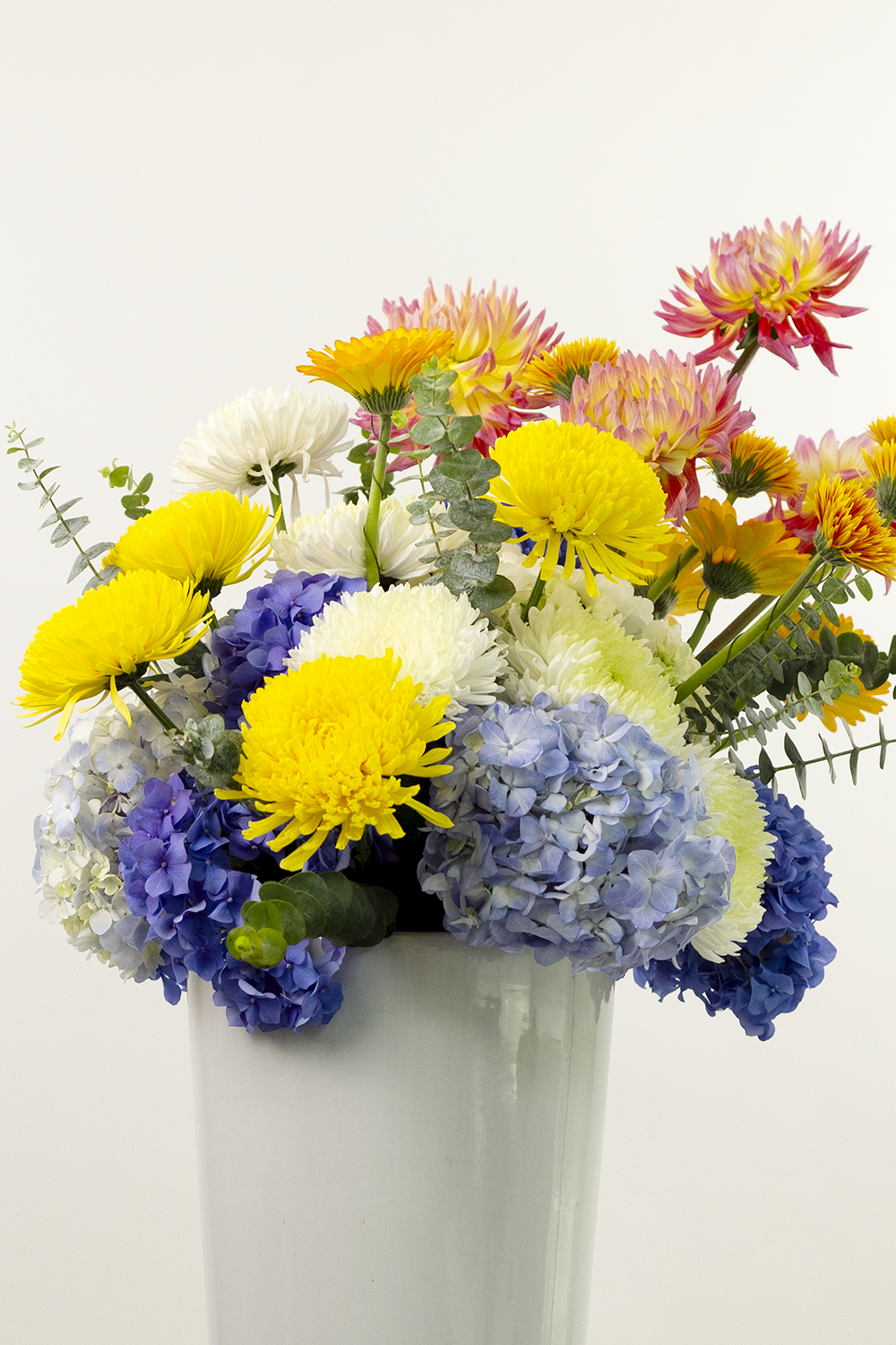Summer in Bloom