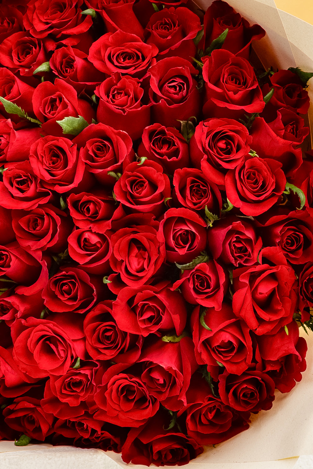 Cupid's Favourite