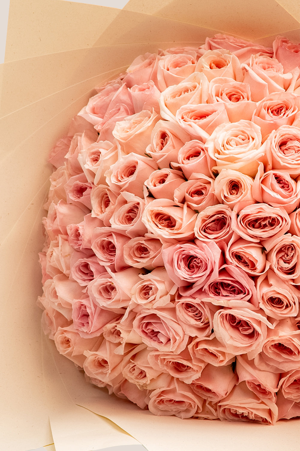 Pink Reverie