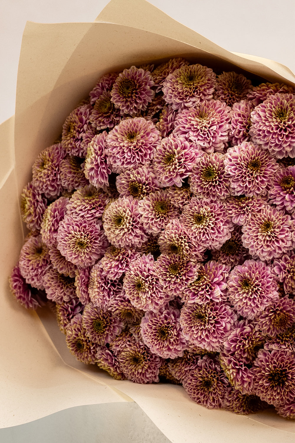 Mauve Mood