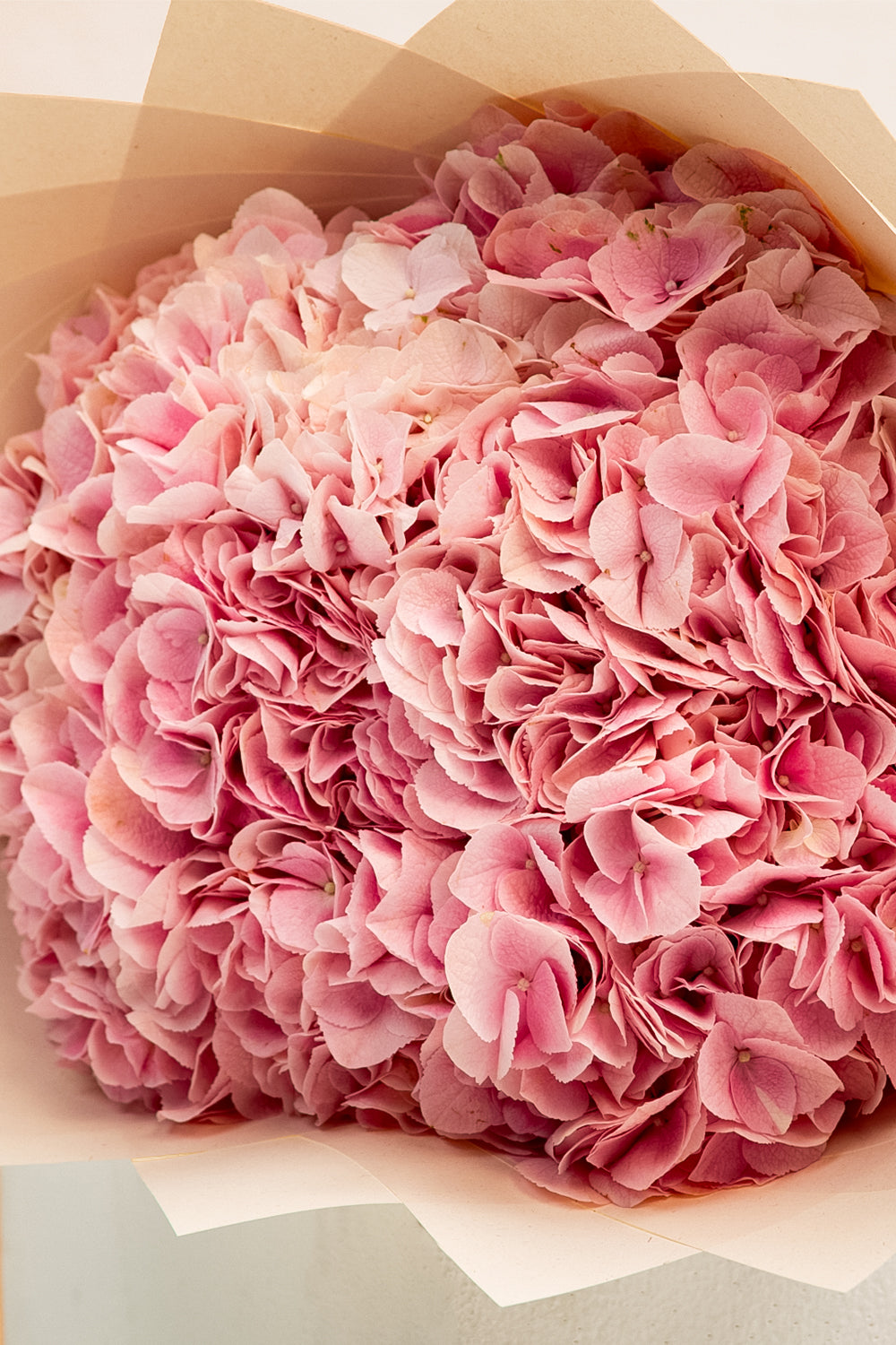Blush Theory