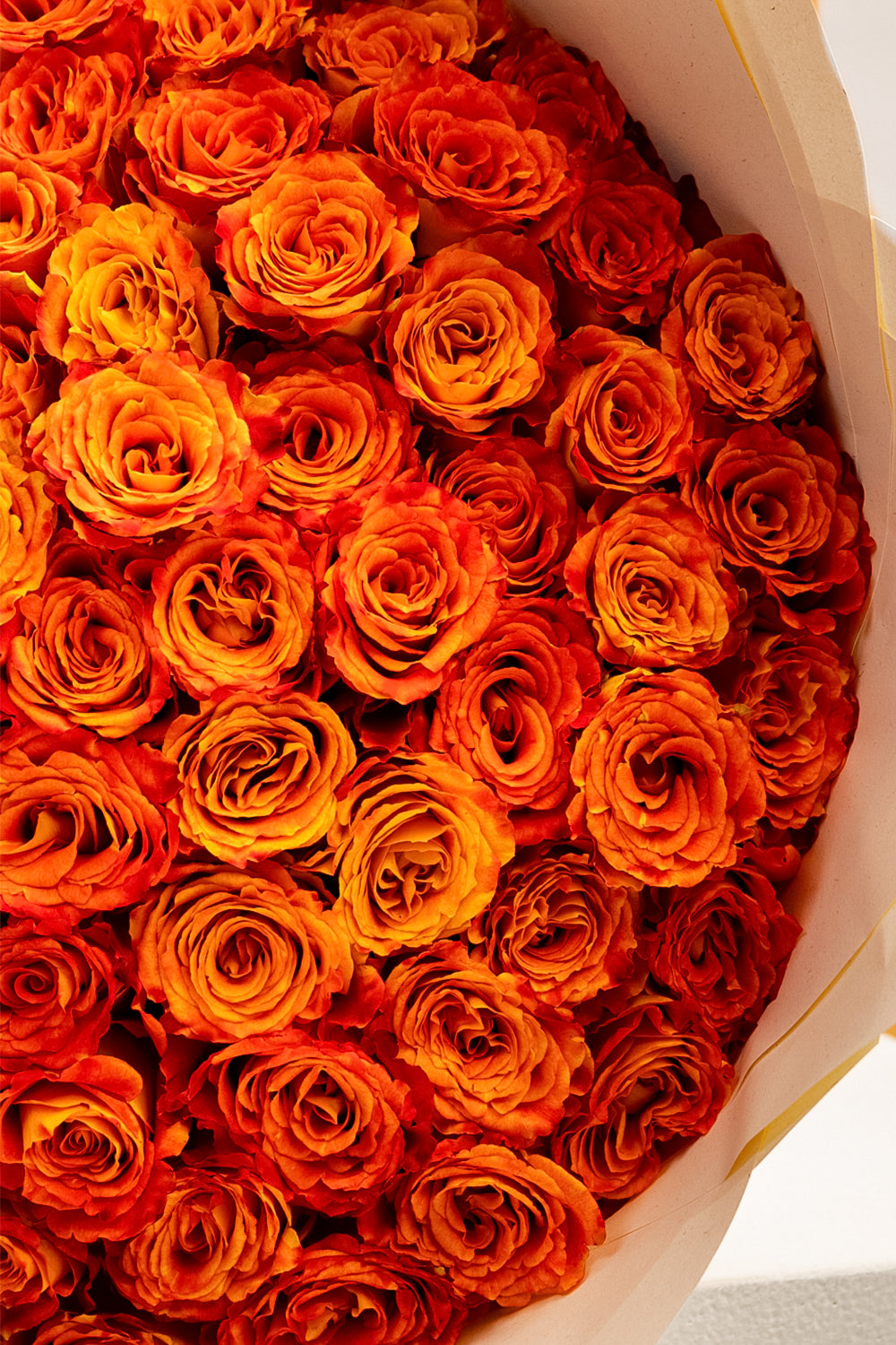 Tangerine Dream
