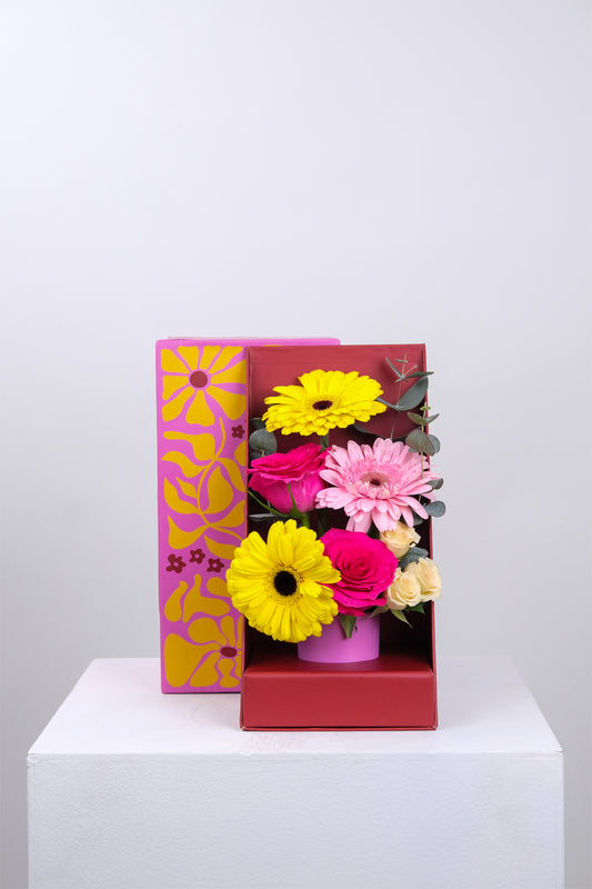 Box of Love