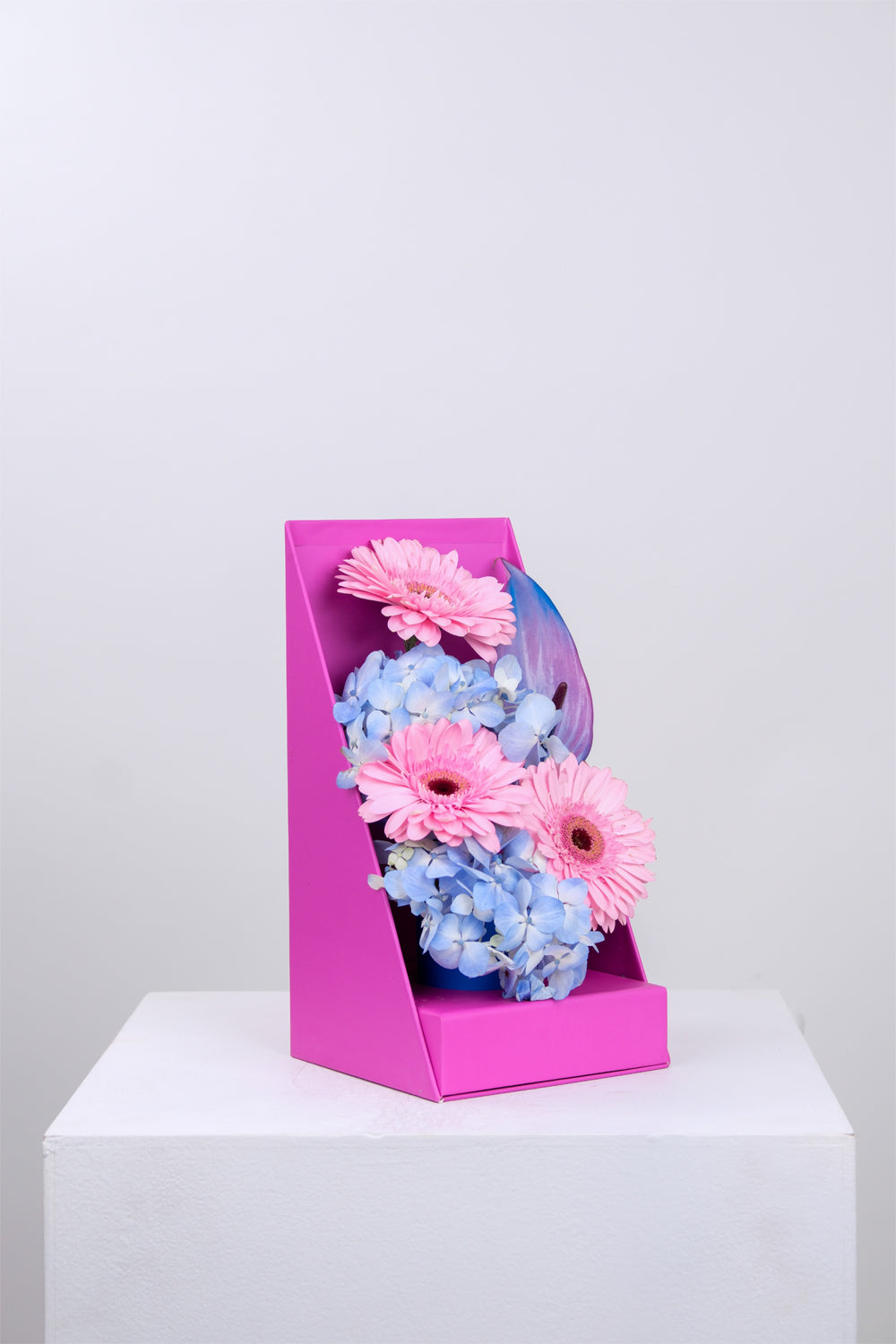 Box of Serenity