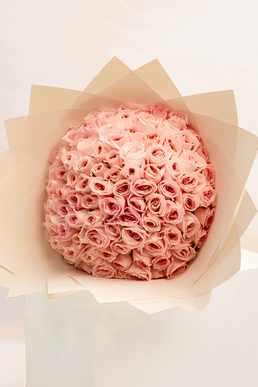 Pink Reverie