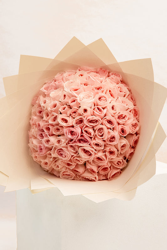 Pink Reverie