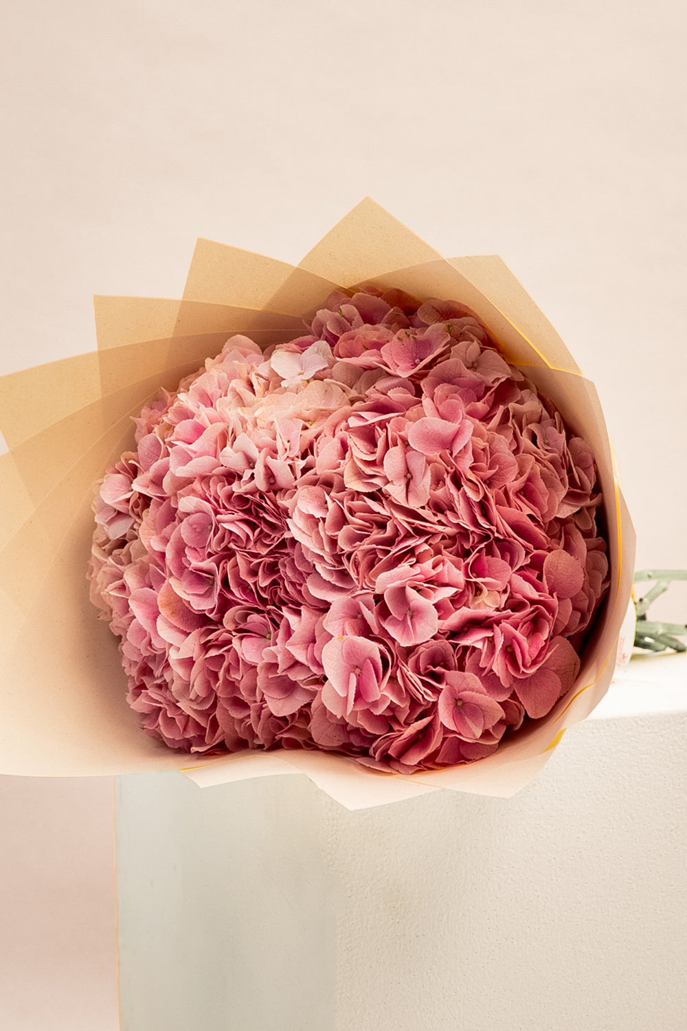 Blush Theory
