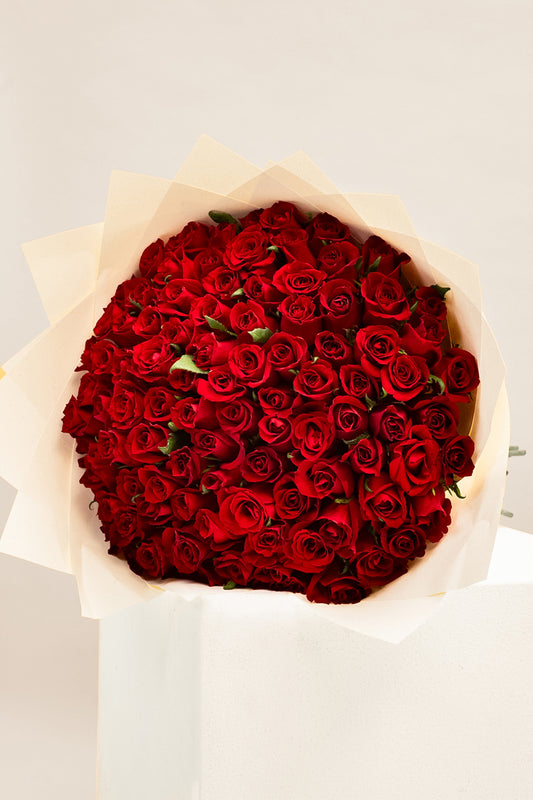 Cupid's Favourite