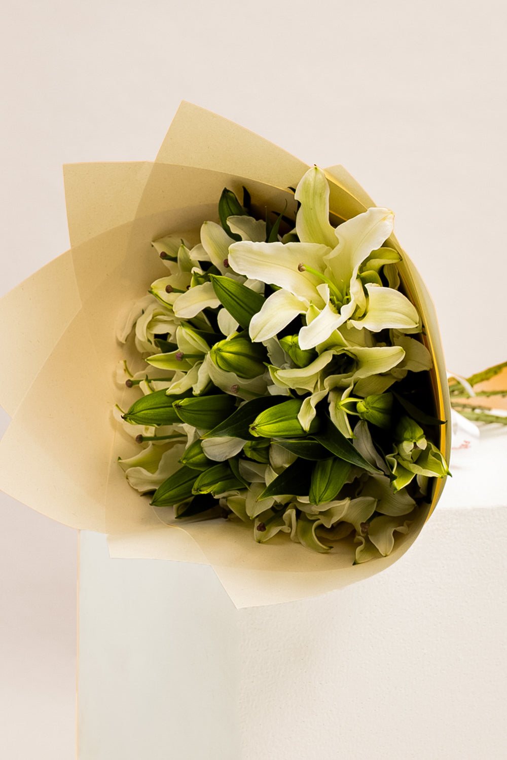 Petal Promise